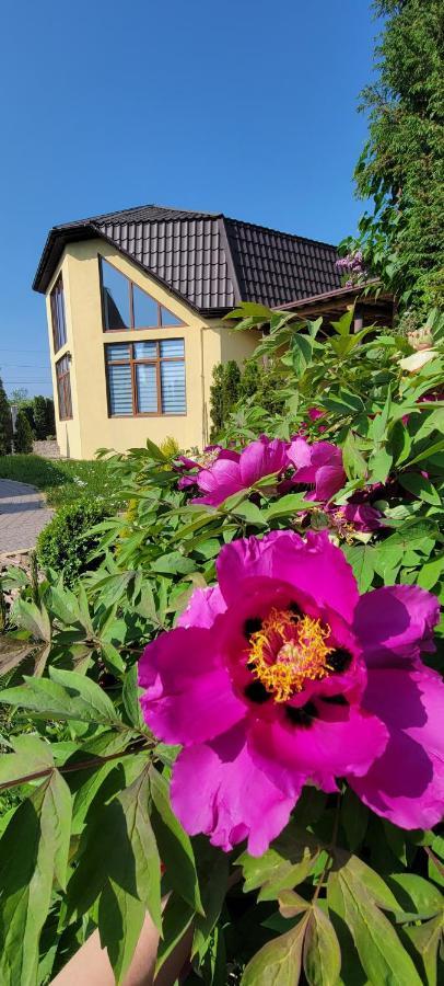 трушки34 Villa